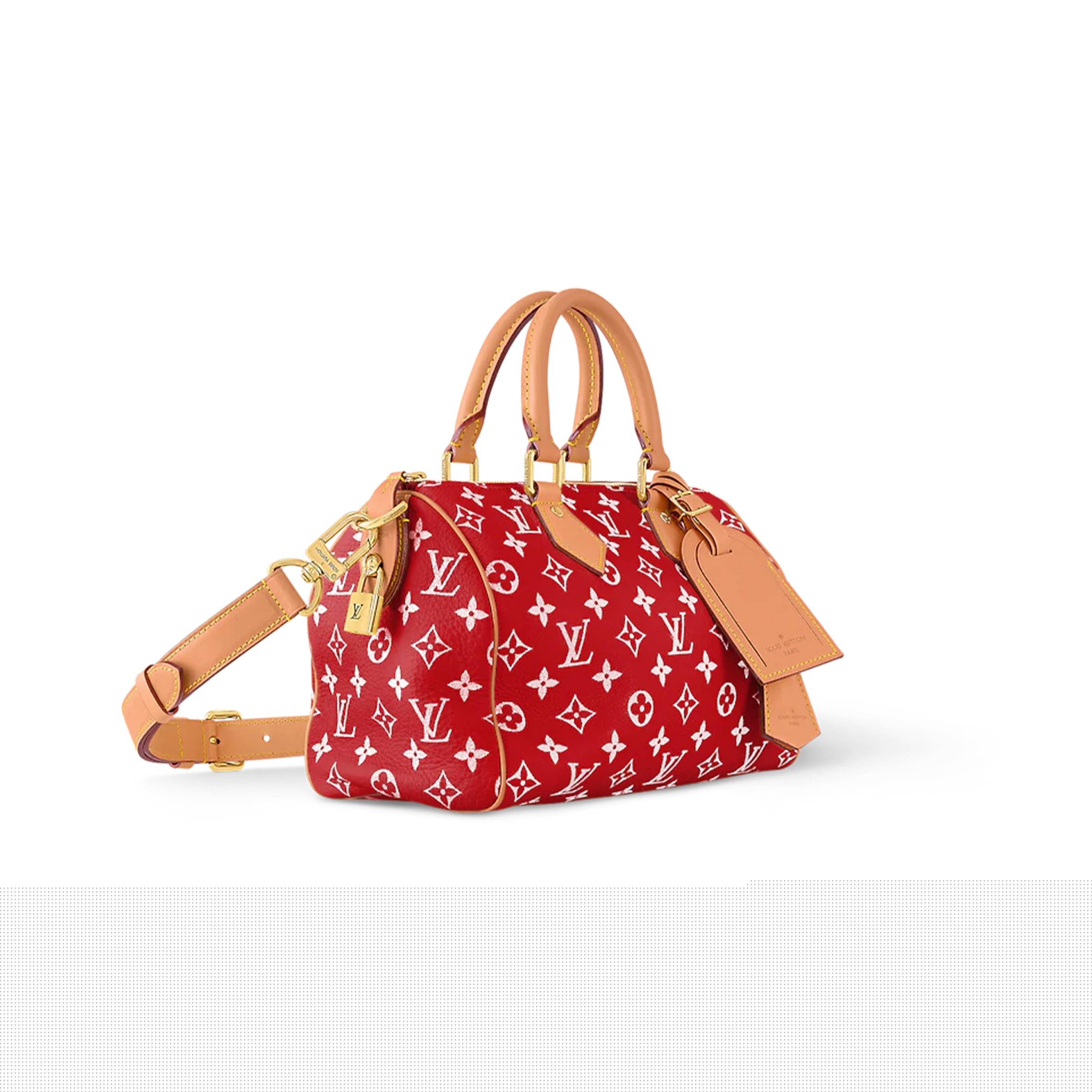 LOUIS VUITTON MASTER SPEEDY P9 BANDOULIÈRE 25 M24425 (25*15*15cm)